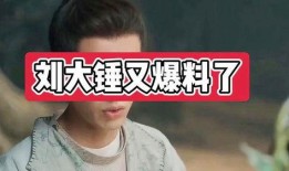 刘大锤今日爆料最新视频,揭秘娱乐圈惊人内幕